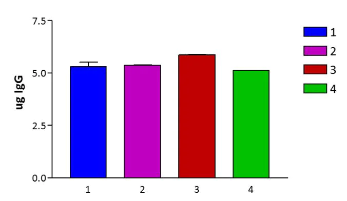 Immunoprecipitation - Magnetic Conjugation Kit (AB269890)