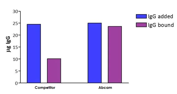 Other - Magnetic Conjugation Kit (AB269890)