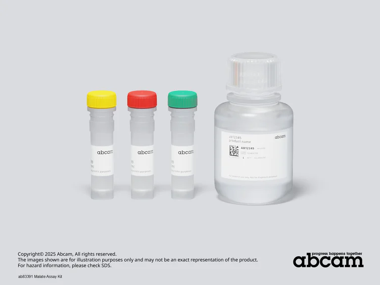 Schematic Diagram - Malate Assay Kit (AB83391)