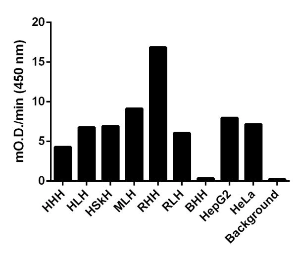 Functional Studies - Malate Dehydrogenase 1 (MDH1) Activity Assay (AB200009)