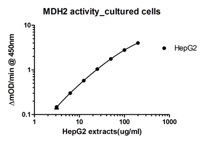 ELISA - Malate Dehydrogenase 2 (MDH2) Activity Assay (AB119693), expandable thumbnail