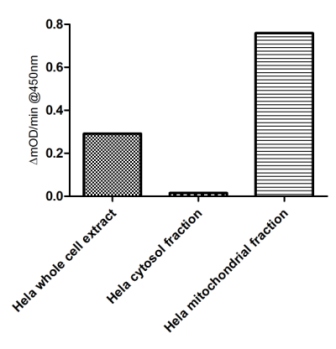 ELISA - Malate Dehydrogenase 2 (MDH2) Activity Assay (AB119693), expandable thumbnail