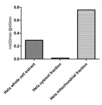 ELISA - Malate Dehydrogenase 2 (MDH2) Activity Assay (AB119693)