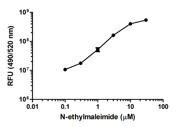 Functional Studies - Maleimide Quantification Assay Kit (Fluorometric) (AB112141), expandable thumbnail