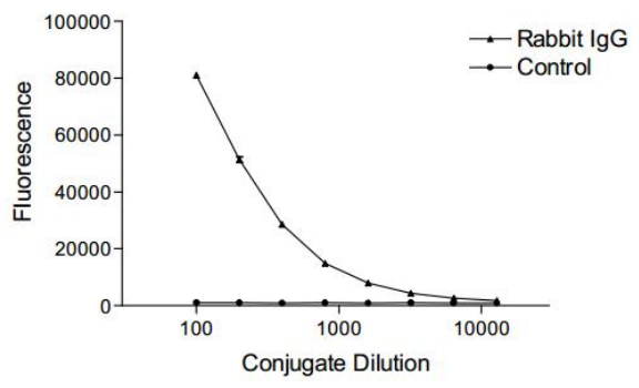 ELISA - Maleimide-R Phycoerythrin (AB270023), expandable thumbnail