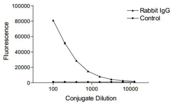 ELISA - Maleimide-R Phycoerythrin (AB270023)