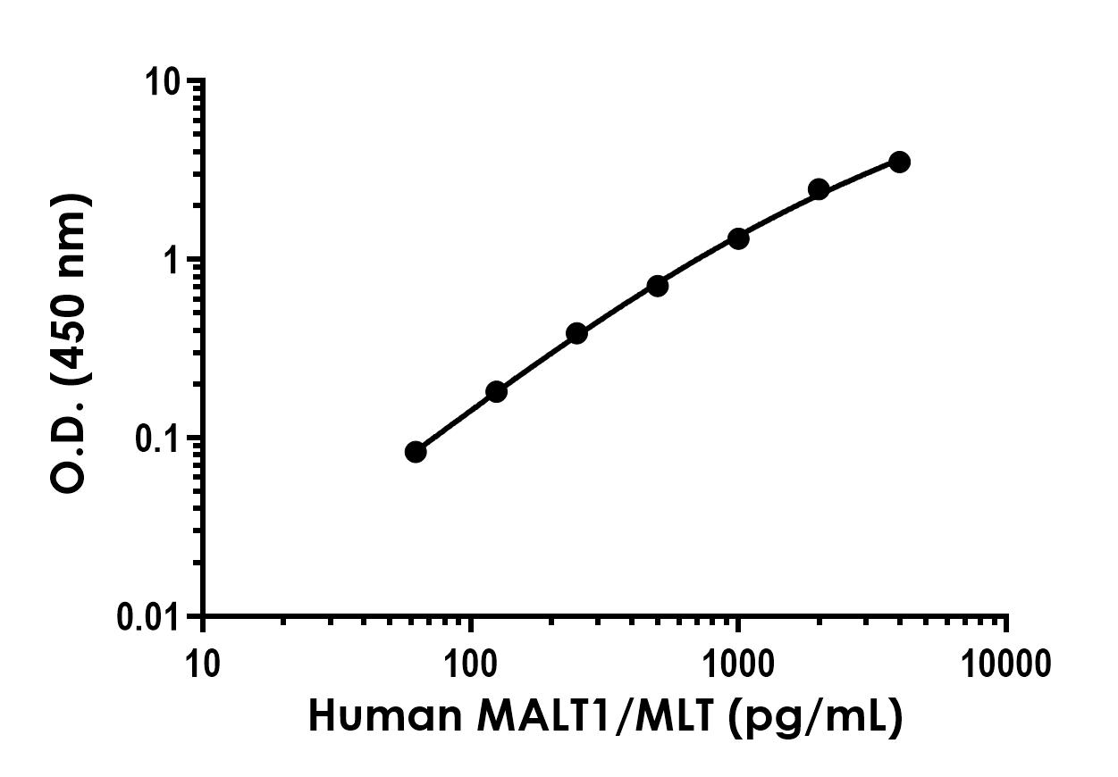 Sandwich ELISA - Anti-MALT1/MLT antibody [EPR24445-25] - BSA and Azide free (Detector) (AB300771)