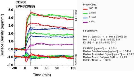 OI-RD Scanning - Anti-Mannose Receptor antibody [EPR6828(B)] (AB125028)