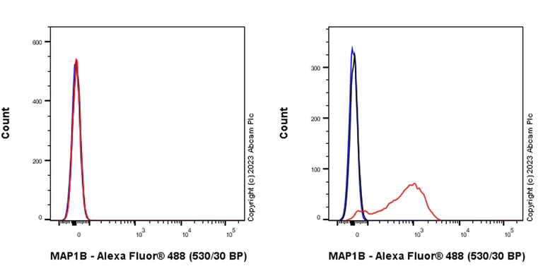 Flow Cytometry (Intracellular) - Anti-MAP1B antibody [EPR27224-93] (AB315226)