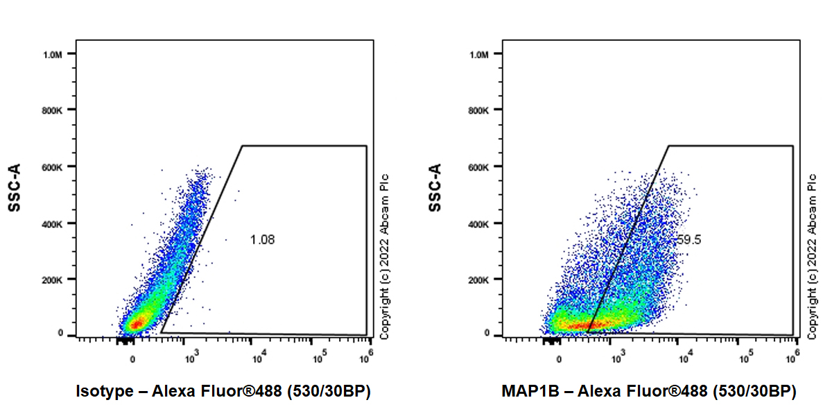 Flow Cytometry (Intracellular) - Anti-MAP1B antibody [EPR27225-25] - BSA and Azide free (ab307287), expandable thumbnail