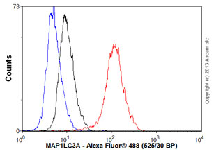 Flow Cytometry (Intracellular) - Anti-MAP1LC3A antibody [EP1983Y] - Autophagosome Marker (AB52768), expandable thumbnail