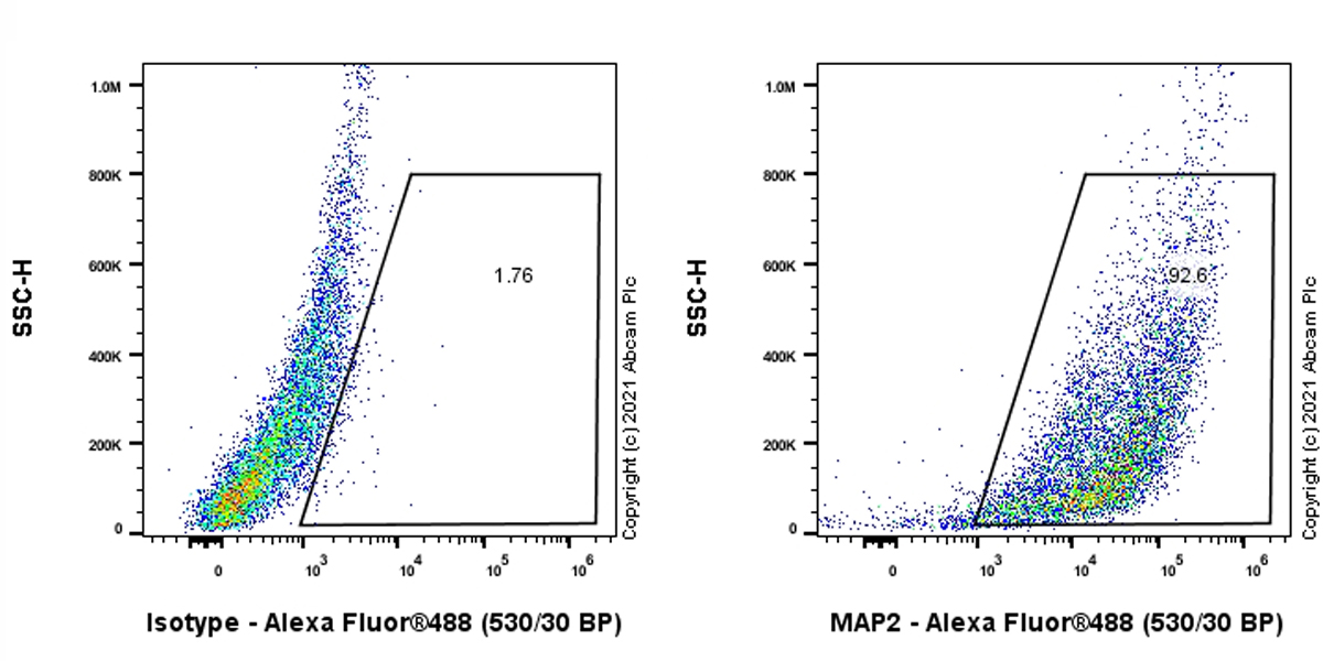 Flow Cytometry (Intracellular) - Anti-MAP2 antibody [EPR19691] - Neuronal Marker (AB183830), expandable thumbnail