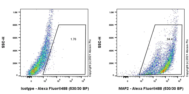 Flow Cytometry (Intracellular) - Anti-MAP2 antibody [EPR22036-127] - BSA and Azide free (AB238889)