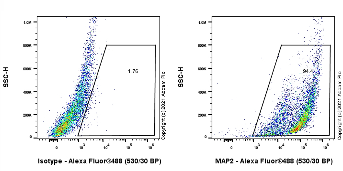 Flow Cytometry (Intracellular) - Anti-MAP2 antibody [EPR22036-127] - Neuronal Marker (AB221693), expandable thumbnail