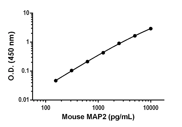 Sandwich ELISA - Anti-MAP2 antibody [EPR22036-137] - BSA and Azide free (Detector) (AB259712)