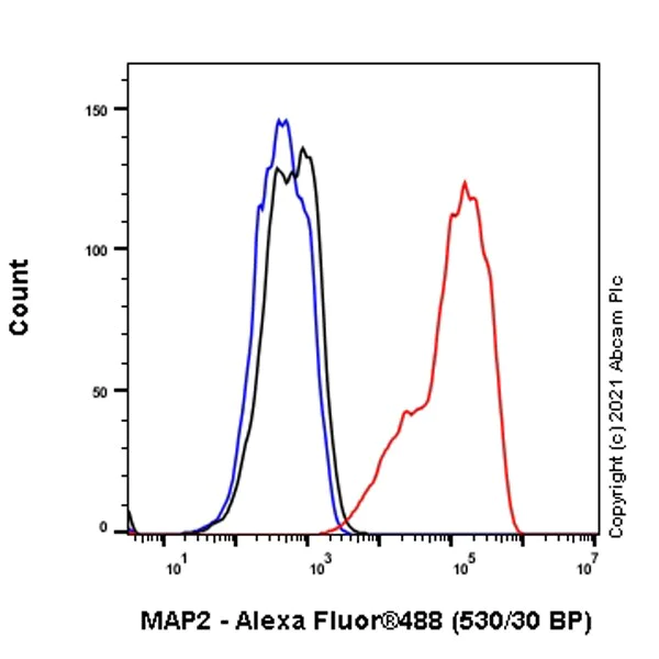 Flow Cytometry (Intracellular) - Anti-MAP2 antibody [RM1010] - BSA and Azide free (AB283865)
