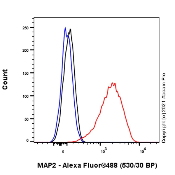 Flow Cytometry (Intracellular) - Anti-MAP2 antibody [RM1010] - BSA and Azide free (AB283865)