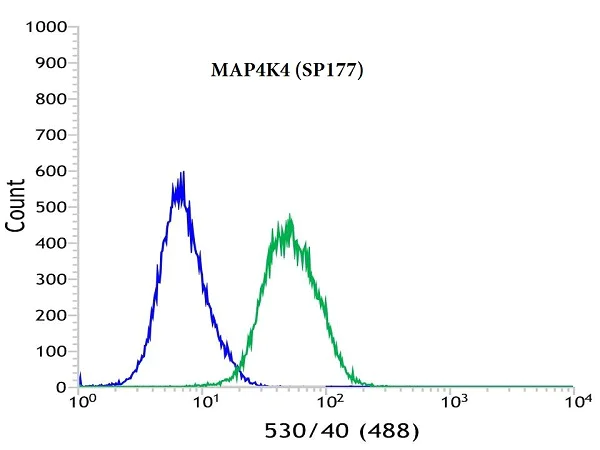 Flow Cytometry (Intracellular) - Anti-MAP4K4/NIK antibody [SP177] - BSA and Azide free (AB245752)