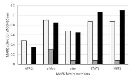 Functional Studies - MAPK (ATF2, c-Jun, c-Myc, MEF2, STAT1alpha) Transcription Factor Assay Kit (Colorimetric) (AB207212)