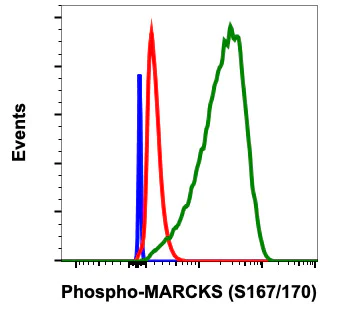 Flow Cytometry - Anti-MARCKS (phospho S167 + S170) antibody [MARCKSS167170-C9] (AB278646)