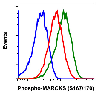 Flow Cytometry - Anti-MARCKS (phospho S167 + S170) antibody [MARCKSS167170-C9] (AB278646), expandable thumbnail