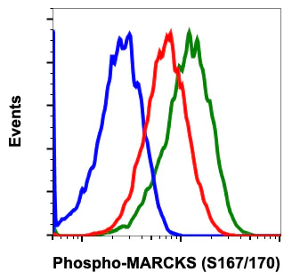 Flow Cytometry - Anti-MARCKS (phospho S167 + S170) antibody [MARCKSS167170-C9] (AB278646)