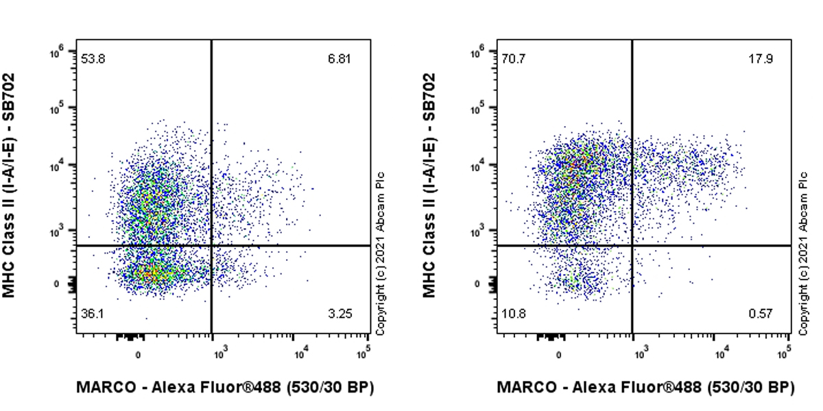 Flow Cytometry - Anti-MARCO antibody [EPR24317-33] (AB271060), expandable thumbnail