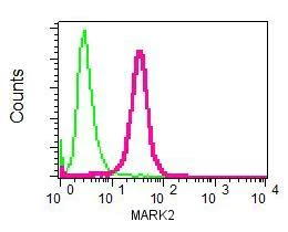 Flow Cytometry (Intracellular) - Anti-MARK2 antibody [EPR8553] - BSA and Azide free (AB248629)