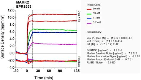 OI-RD Scanning - Anti-MARK2 antibody [EPR8553] - BSA and Azide free (AB248629)
