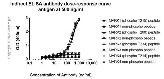 Indirect ELISA - Anti-MARK4 (pT214) + MARK2 (pT208) + MARK3 (pT234) + MARK1 (pT215) antibody [EPR5463] (AB126731)