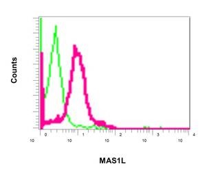 Flow Cytometry (Intracellular) - Anti-MAS1L antibody [EPR11440(B)] - BSA and Azide free (AB249257), expandable thumbnail