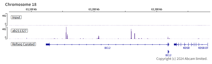 ChIP-sequencing - Anti-MASH1/Achaete-scute homolog 1 antibody [EPR19840] (ab211327), expandable thumbnail