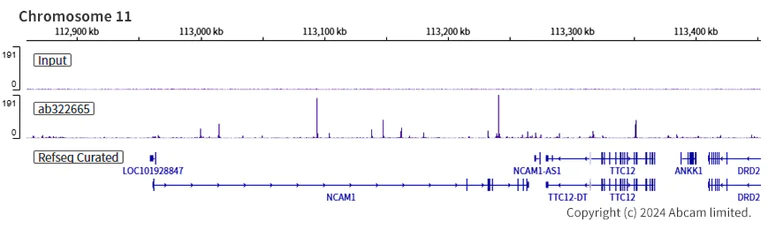 ChIP-sequencing - Anti-MASH1/Achaete-scute homolog 1 antibody [RM1182] (AB322665)