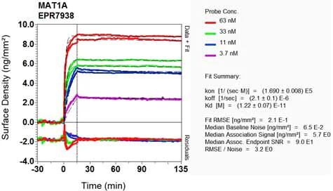 OI-RD Scanning - Anti-MAT1A + MAT2A antibody [EPR7938] (AB129176)