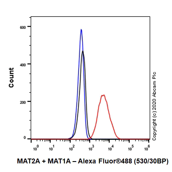 Flow Cytometry (Intracellular) - Anti-MAT2A+MAT1A antibody [EPR10496] - BSA and Azide free (AB249988)