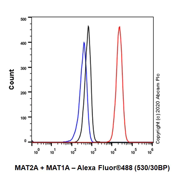 Flow Cytometry (Intracellular) - Anti-MAT2A+MAT1A antibody [EPR10496] - BSA and Azide free (AB249988)