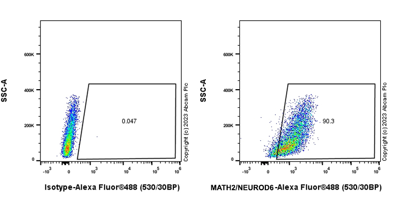 Flow Cytometry (Intracellular) - Anti-MATH2/NEUROD6 antibody [EPR28660-23] (ab315812), expandable thumbnail