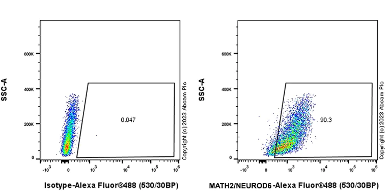 Flow Cytometry (Intracellular) - Anti-MATH2/NEUROD6 antibody [EPR28660-23] (AB315812)