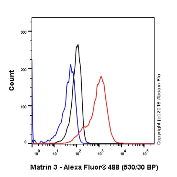 Flow Cytometry (Intracellular) - Anti-Matrin 3 antibody [EPR10635(B)] - BSA and Azide free (AB240123)