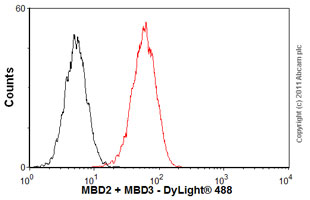 Anti-MBD2 + MBD3 antibody [106B691]