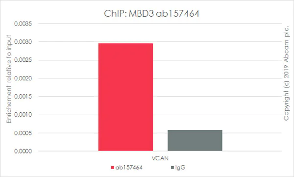 ChIP - Anti-MBD3 antibody [EPR9913] - BSA and Azide free (AB240144)