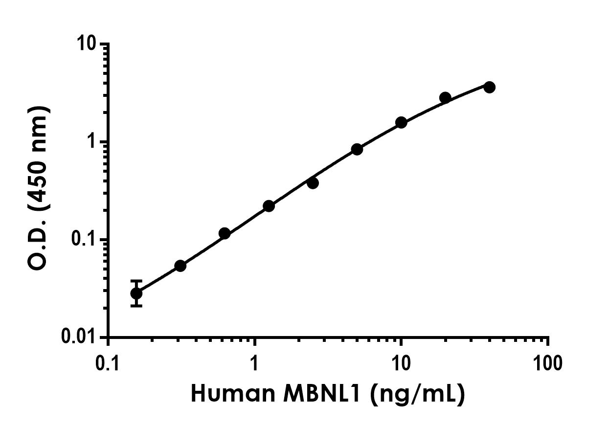 Sandwich ELISA - Anti-MBNL1 antibody [EPR26983-170] - BSA and Azide free (Capture) (AB313716), expandable thumbnail