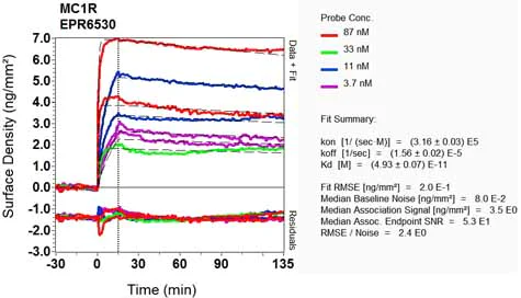 OI-RD Scanning - Anti-MC1-R antibody [EPR6530] - BSA and Azide free (AB240017)