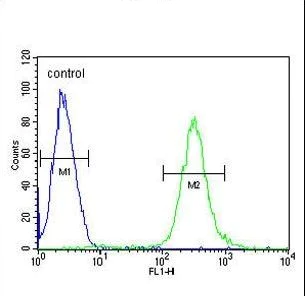 Flow Cytometry (Intracellular) - Anti-MCAF2 antibody (AB230344)