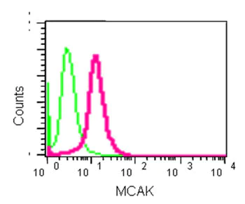 Flow Cytometry (Intracellular) - Anti-MCAK antibody [EPR14838] - BSA and Azide free (AB250931)