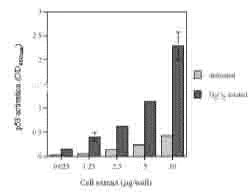 Functional Studies - MCF7 nuclear extract lysate (H2O2 treated) (AB14862)