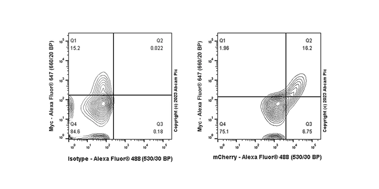 Flow Cytometry - Anti-mCherry antibody [EPR20579] (AB213511)