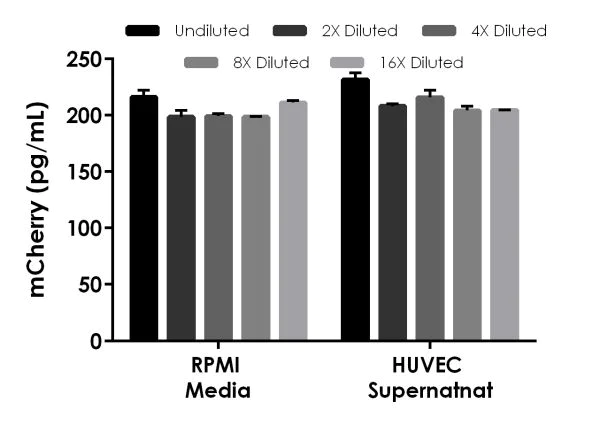 Sandwich ELISA - mCherry ELISA Kit (AB221829)