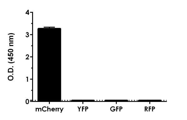 Sandwich ELISA - mCherry ELISA Kit (AB221829)