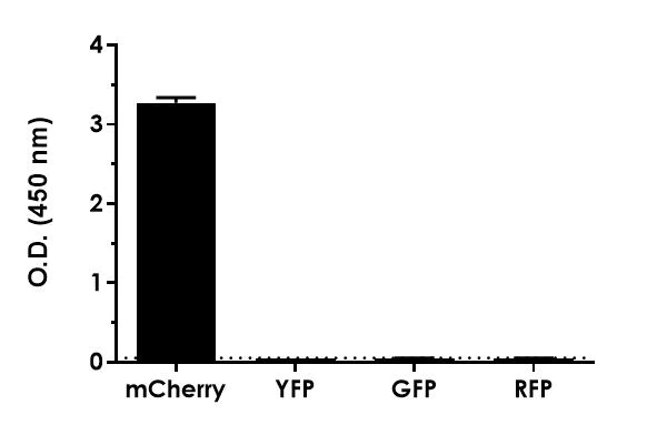 Sandwich ELISA - mCherry ELISA Kit, Chemiluminescent (AB325452)